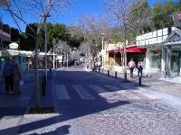 Mallorca Februar 07 (14) 